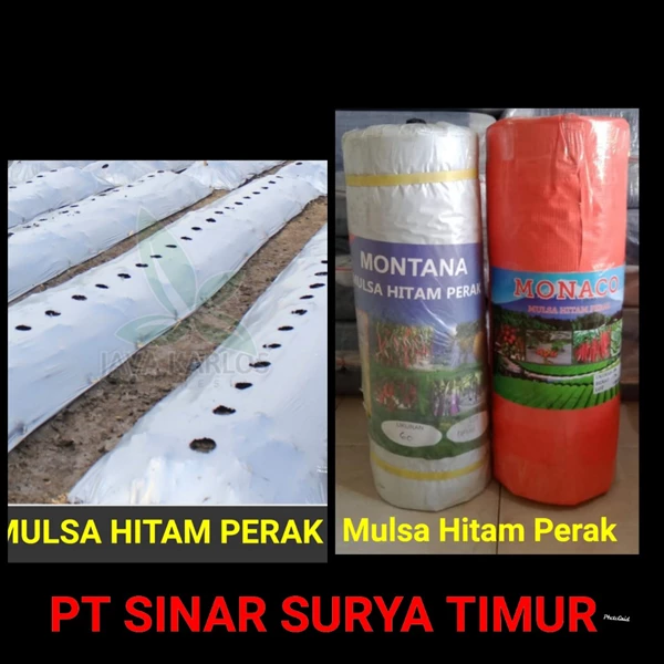 082333919978 Plastic Mulch Planting Tools Black Silver Surabaya