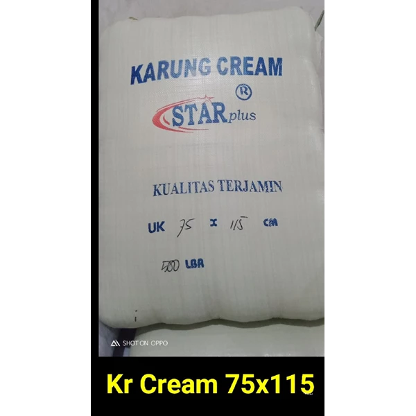 Ramos Bandung brand laminated rice sack 25 kg